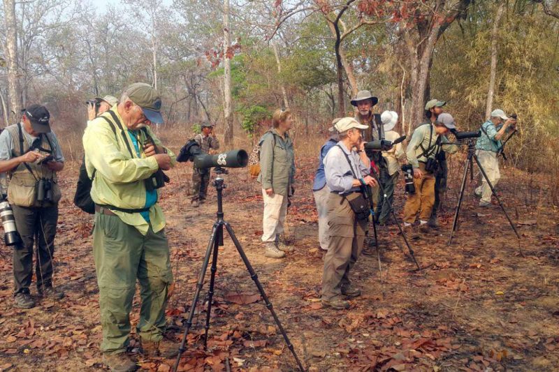 Cambodia Bird Guide Association