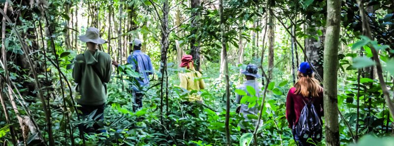 Cambodia Bird Guide Association