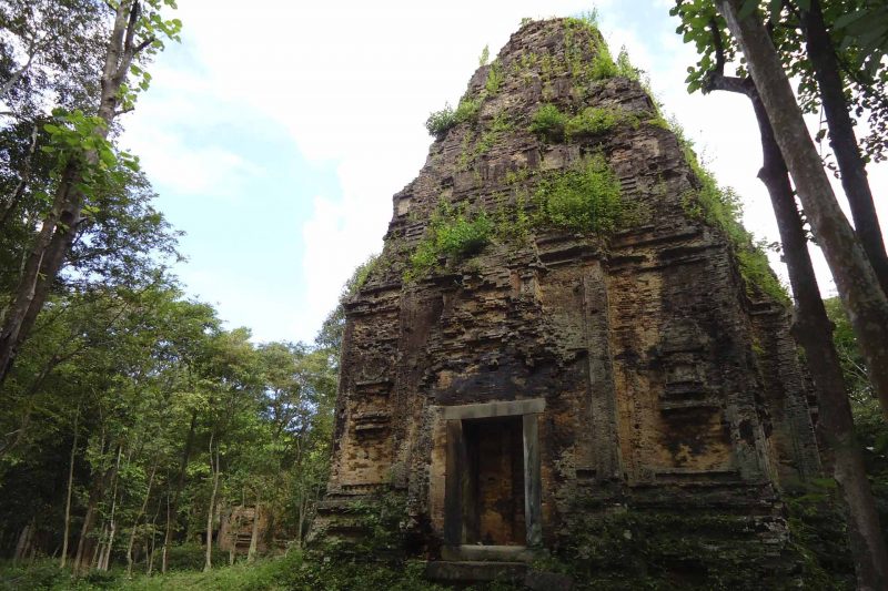 Cambodia Bird Guide Association