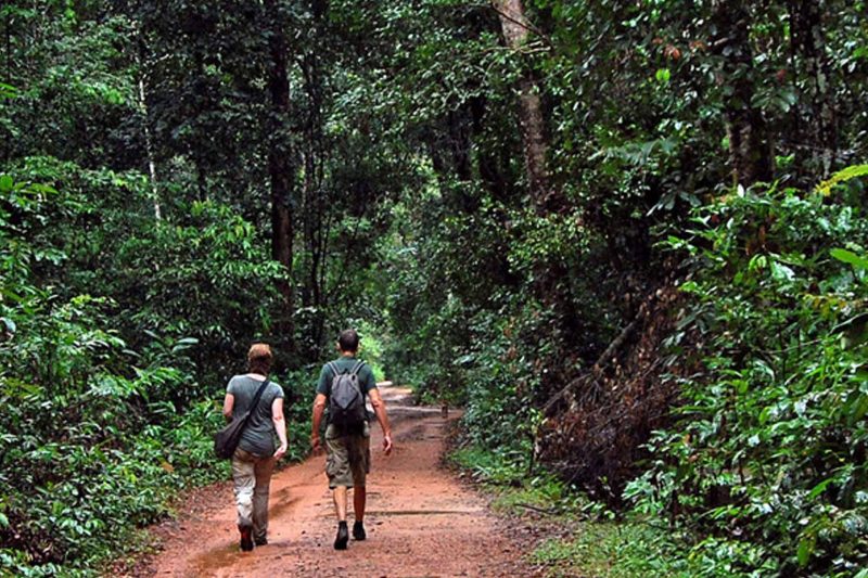 Cambodia Bird Guide Association