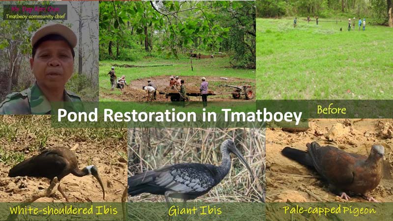 pond modified and restoration in Tmatboey